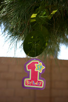 20100418 Laing 1st Birthday